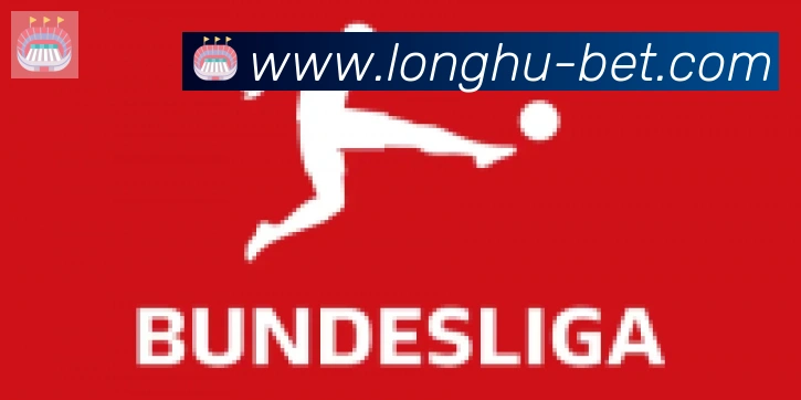 龙虎棋牌合作伙伴